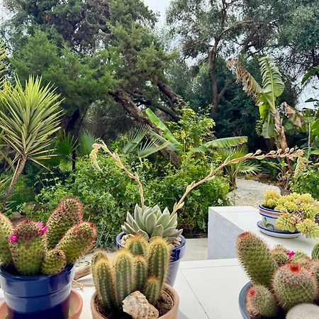 Casa Blu Marbella 빌라 외부 사진