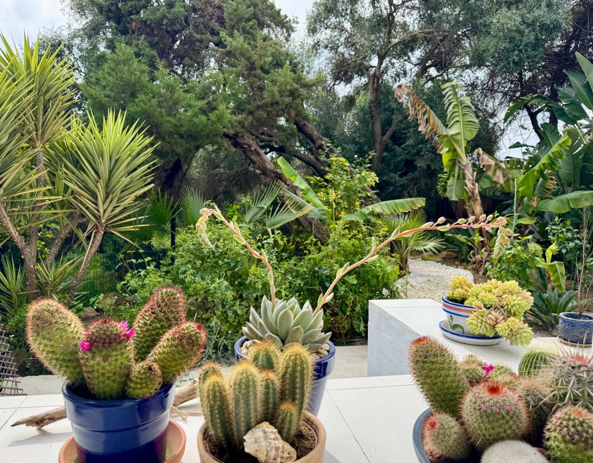 Casa Blu Marbella 빌라 외부 사진