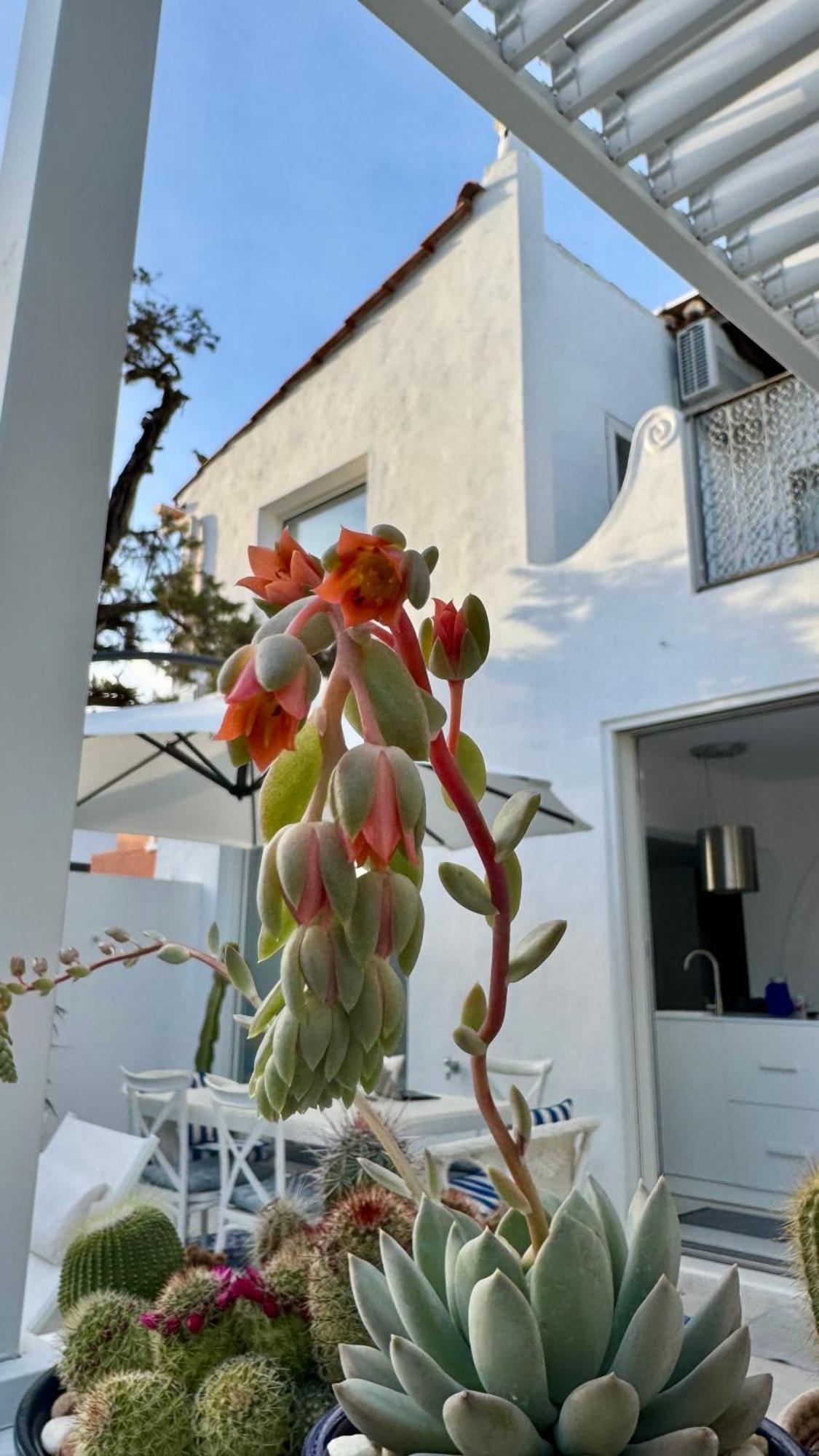 Casa Blu Marbella 빌라 외부 사진